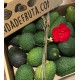 avocado hass box