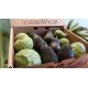 special avocado and chirimoya box