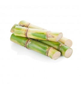 sugar cane uk