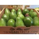 4 avocado box