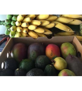 caja de mangos y aguacates