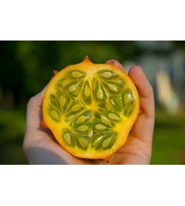 kiwano melon taste