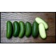 kleine avocados
