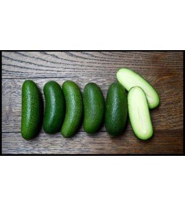 aguacate cocktail