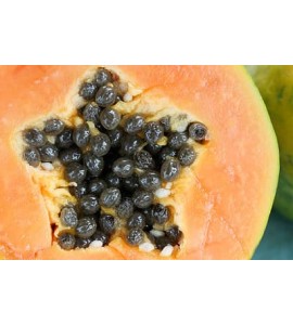 comprar semillas de papaya en España