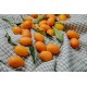 comprar kumquat online