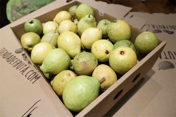 comprar cesta de fruta ecologica en Pamplona