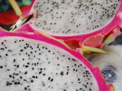 comment planter son pitaya