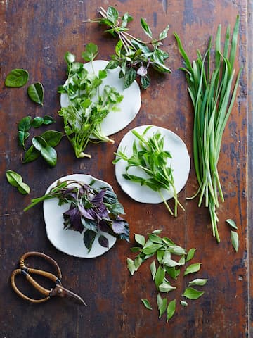 donde comprar hojas de lima kaffir