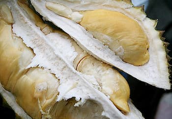 durian en mexico