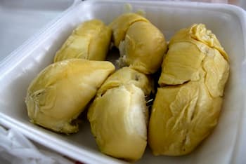 durian fruta