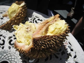 durian in spanish