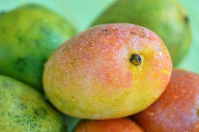 zumo frutas con mango